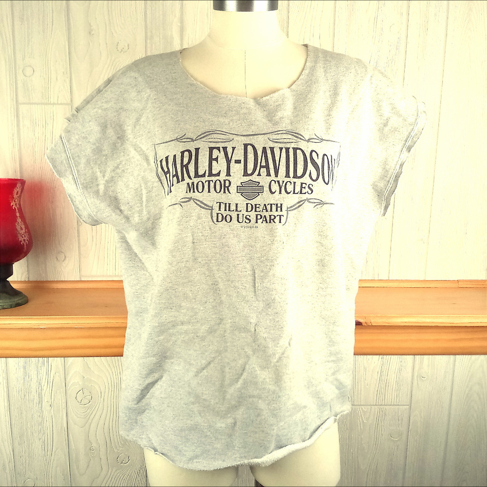 2009 Harley Davidson Unisex L Till Death Capital C